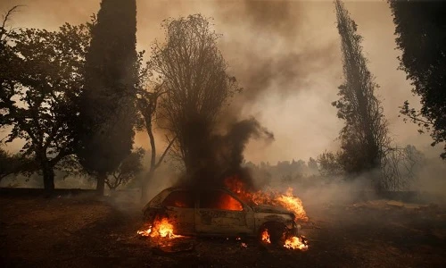 Kinh hoàng cảnh cháy rừng dữ dội ở Châu Âu