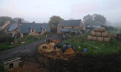 Ngạc nhiên cuộc sống "không" công nghệ của lão nông 70 tuổi