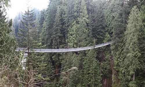 Chiêm ngưỡng những cây cầu độc đáo nhất thế giới