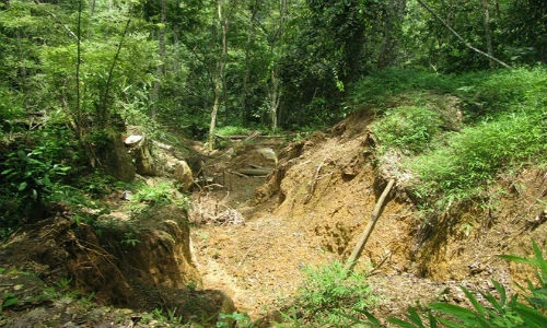 3 phu vàng bị ngạt khí độc, mắc kẹt dưới hang sâu