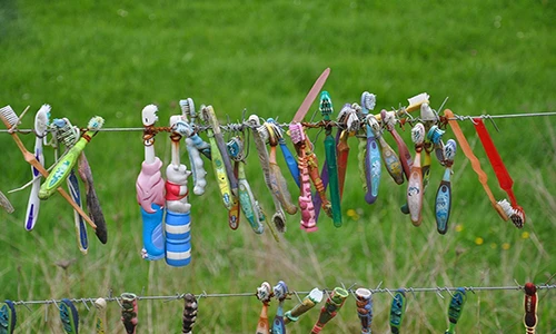 Những hàng rào "quái dị" khiến khách du lịch mê mẩn ở New Zealand