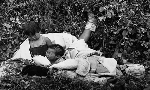 Những hình ảnh tang tóc của Chiến tranh Triều Tiên