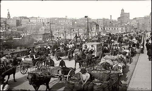 Ảnh hiếm về thành phố Sydney hồi thập niên 1900