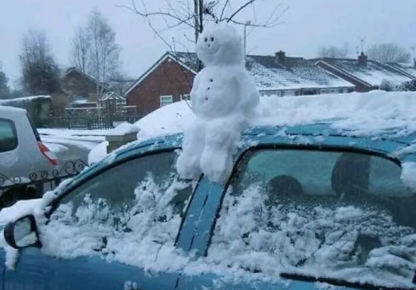 Cười ngất trước loạt khoảnh khắc hài hước khó tin trong cuộc sống