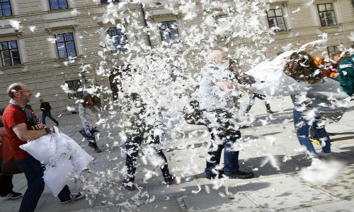 Chùm ảnh “Ngày hội choảng nhau bằng gối” năm 2016