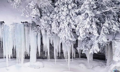 Hình ảnh cái lạnh khủng khiếp trên thế giới