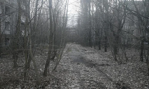 “Vùng đất chết” Chernobyl 31 năm sau thảm họa hạt nhân