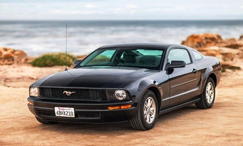 Khó đỡ 15 lệnh cấm kỳ cục nhất thế giới