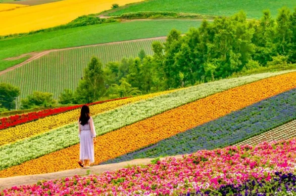 Kinh ngạc loạt bức ảnh đẹp đến mức bạn không tin là thật