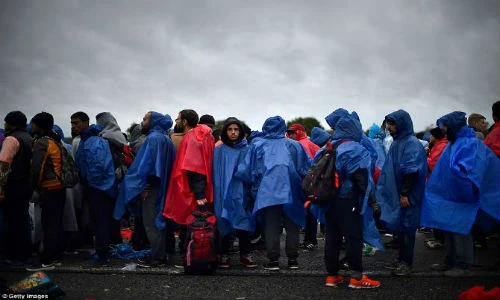 Hàng nghìn người tị nạn “đội mưa” đổ dồn về Slovenia