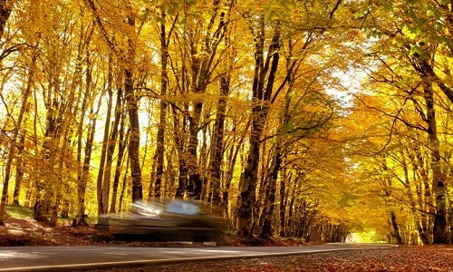 Ngất ngây cảnh sắc mùa thu tuyệt đẹp khắp thế giới