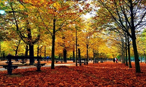 Đẹp nao lòng những thành phố quyến rũ nhất châu Âu vào thu