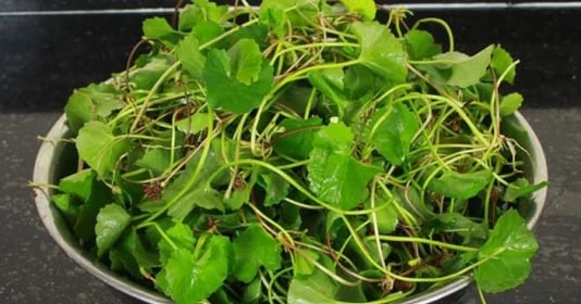 Kinh ngạc 4 loại rau trường thọ “bổ hơn thịt, rẻ hơn thuốc”