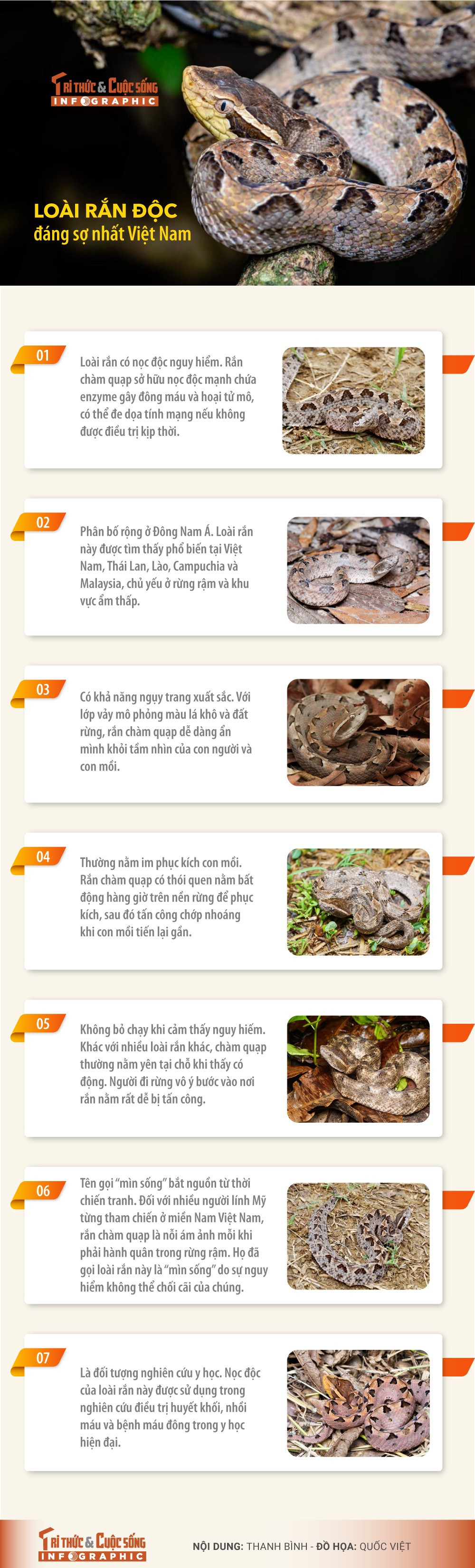 Infographic: Loài rắn độc đáng sợ nhất Việt Nam | Báo Tri thức và Cuộc ...