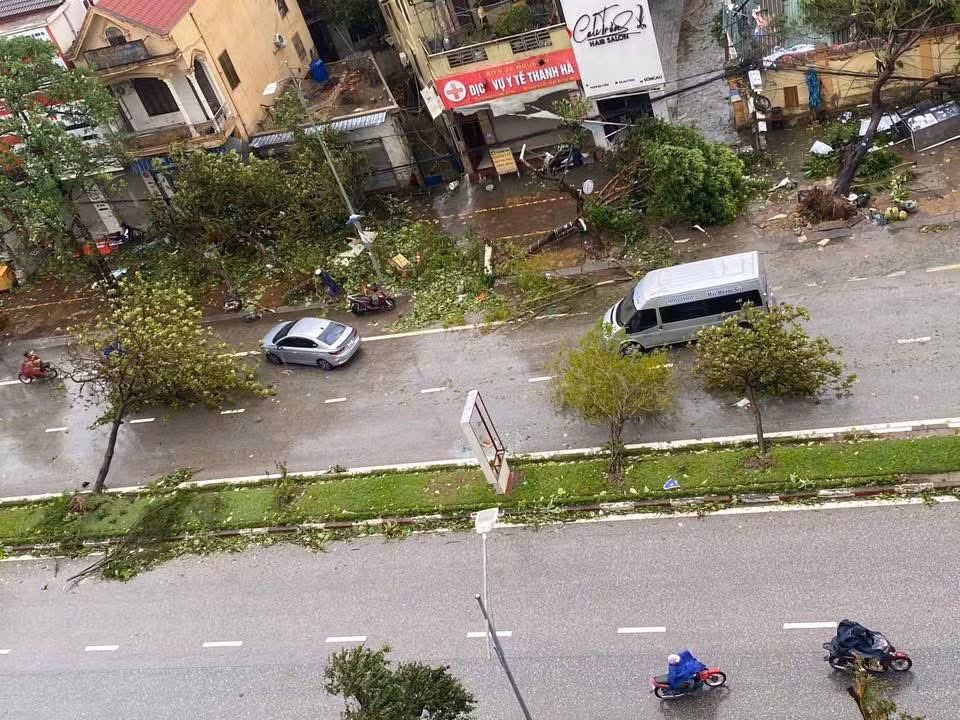 Đường phố ngổn ngang cây gãy đổ