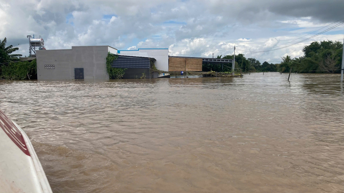 View - Lực lượng chức năng Lâm Đồng ứng cứu người dân trong tâm lũ Hàm Thắng | Báo Tri thức và Cuộc sống - TIN TỨC PHỔ BIẾN KIẾN THỨC 24H