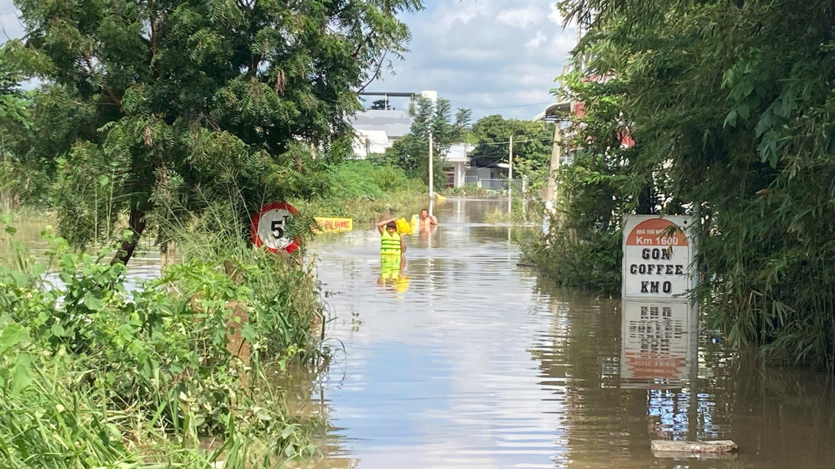 View - Lực lượng chức năng Lâm Đồng ứng cứu người dân trong tâm lũ Hàm Thắng | Báo Tri thức và Cuộc sống - TIN TỨC PHỔ BIẾN KIẾN THỨC 24H