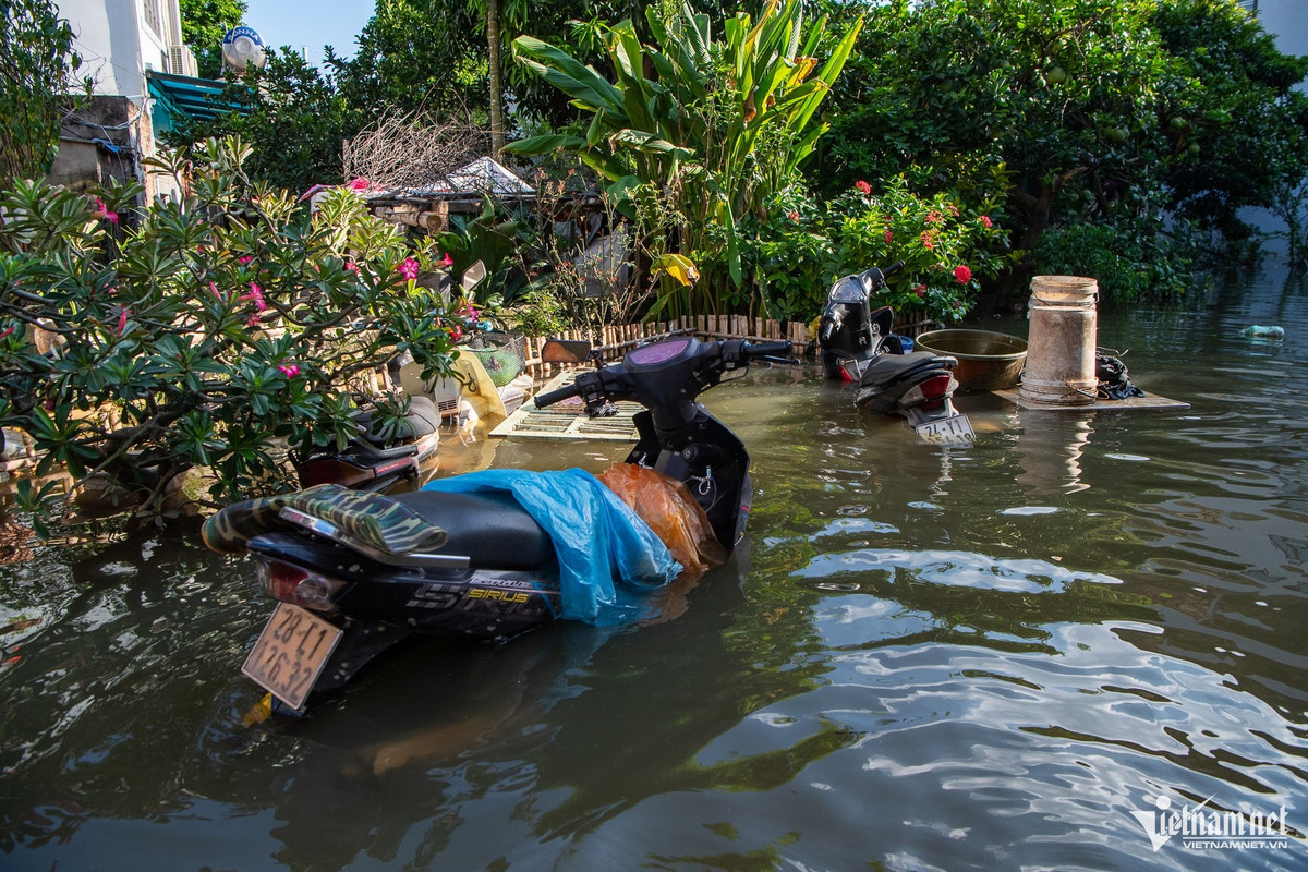 Trước tốc độ nước dâng quá nhanh, không ít gia đình bất lực nhìn xe máy, giường tủ, bàn ghế… lần lượt chìm trong biển nước. Những nỗ lực chắt chiu của bà con dường như không thể chống lại sức mạnh dữ dội của dòng lũ.
