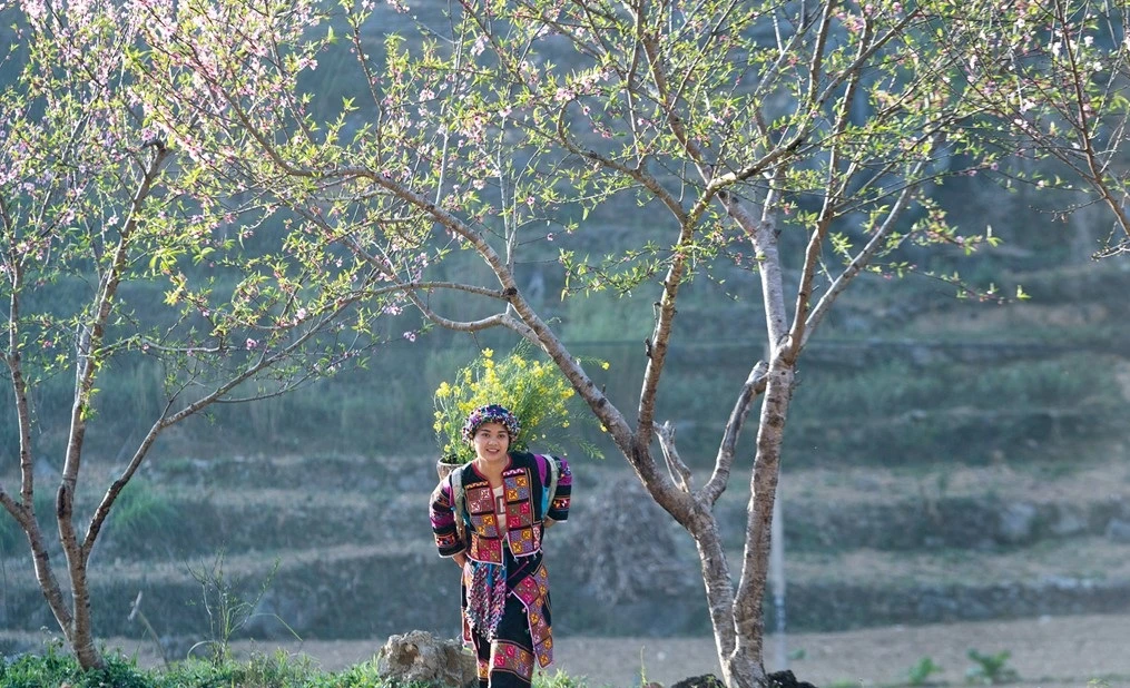 Cảnh “núi ấp ôm mây” tuyệt đẹp trên cao nguyên đá Đồng Văn