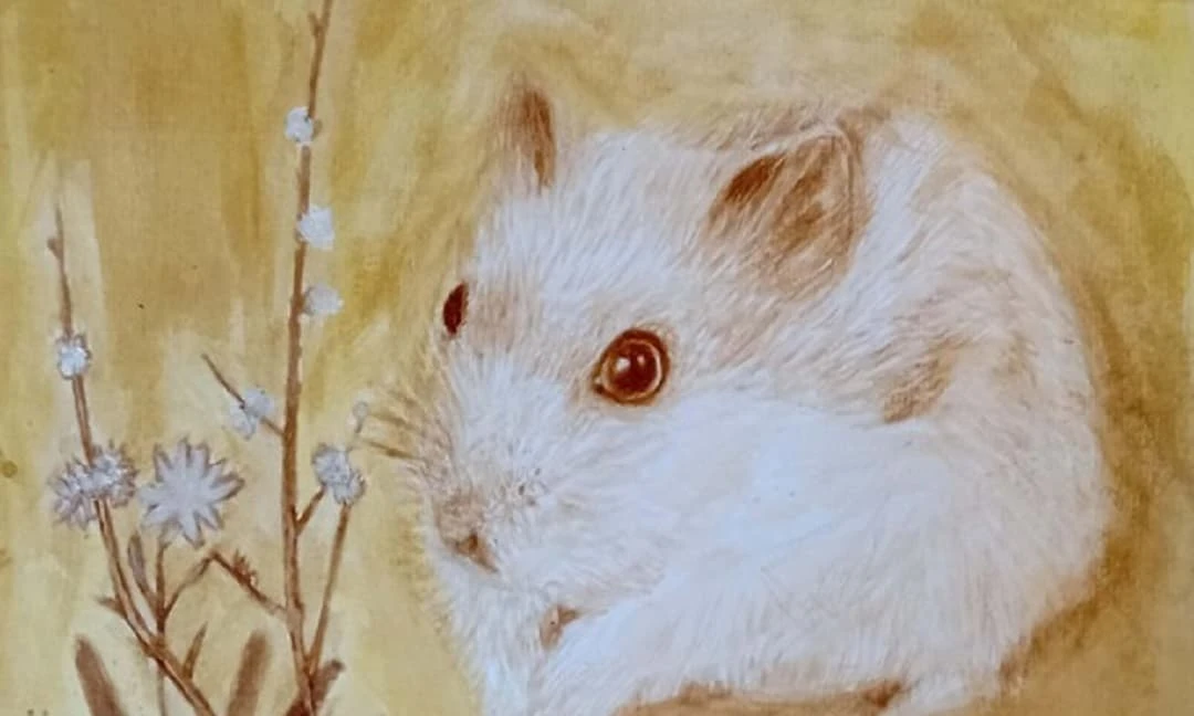 Nửa cuối tháng 10/2021, 3 con giáp vận may ập đến, ngửa tay hứng tiền 