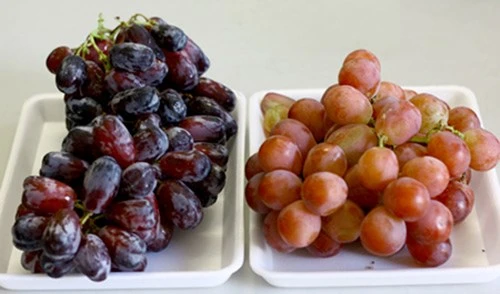 Các loại trái cây TQ tắm hóa chất, nhập nhèm xuất xứ