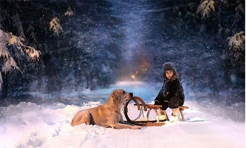 Bộ ảnh tuyệt đẹp bé và thú cưng