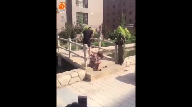 Hoảng hồn với những pha troll “khốn nạn” trên phố