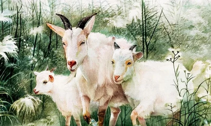 Từ tháng 10 tới cuối năm 2021: Top con giáp hết đen, giàu lên bất chấp