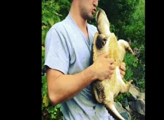 Video: Rùa ra đòn nhanh khiến thanh niên này không đỡ kịp