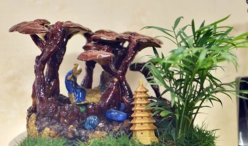 Ngắm nấm linh chi bonsai bạc triệu chơi Tết tuyệt đẹp