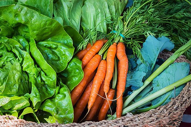 7 cách thải độc thuốc trừ sâu ra khỏi cơ thể