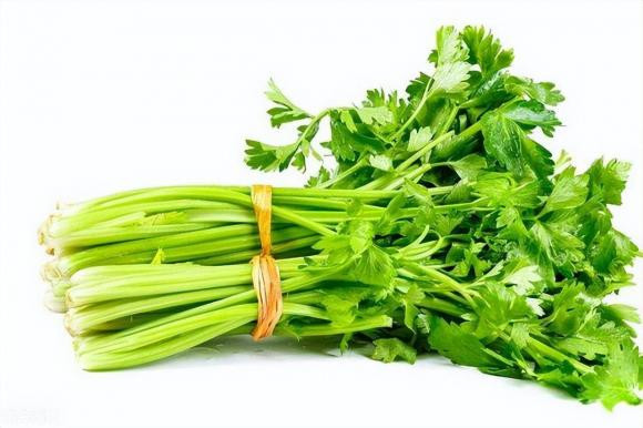 Khi ăn cần tây, tại sao không ăn lá? - Hình 4 Khi an can tay, tai sao khong an la?-Hinh-4