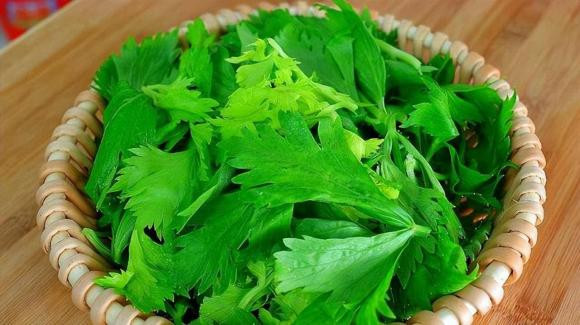 Khi ăn cần tây, tại sao không ăn lá? - Hình 6 Khi an can tay, tai sao khong an la?-Hinh-6