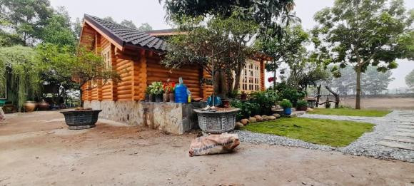 Gia chủ dựng căn nhà gỗ giữa lòng Hà Nội làm nơi nghỉ dưỡng - Hình 3 Gia chu dung can nha go giua long Ha Noi lam noi nghi duong-Hinh-3