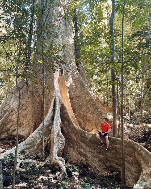 3 cung đường trekking cho người mới - Hình 9 3 cung duong trekking cho nguoi moi-Hinh-9