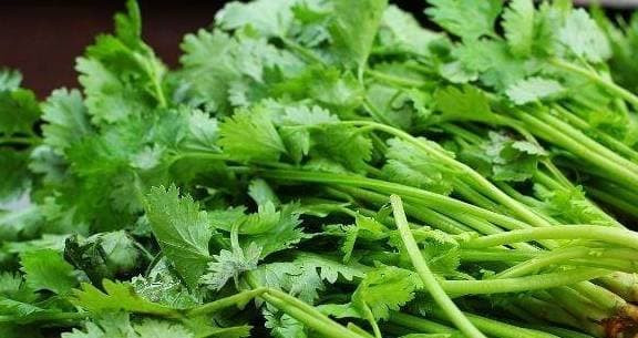 Rau mùi và nó là "kẻ thù không đội trời chung" Rau mui va no la