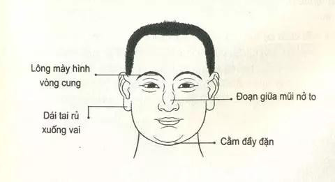 Nhìn mặt bắt hình dong: Tướng mặt chọn chồng "chuẩn nhà người ta" - Hình 5 Nhin mat bat hinh dong: Tuong mat chon chong