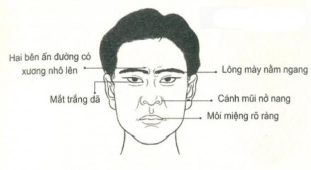 Nhìn mặt bắt hình dong: Tướng mặt chọn chồng "chuẩn nhà người ta" - Hình 3 Nhin mat bat hinh dong: Tuong mat chon chong