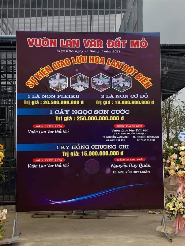 Nghi vấn quanh vụ mua bán lan var Ngọc Sơn Cước 250 tỷ ở Quảng Ninh Nghi van quanh vu mua ban lan var Ngoc Son Cuoc 250 ty o Quang Ninh