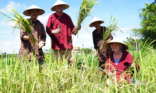 Rủ Tây ra đồng cưỡi trâu, dầm bùn phơi nắng... dân Hội An thu tiền đô - Hình 12 Ru Tay ra dong cuoi trau, dam bun phoi nang... dan Hoi An thu tien do-Hinh-12