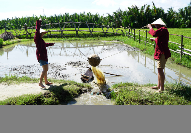Rủ Tây ra đồng cưỡi trâu, dầm bùn phơi nắng... dân Hội An thu tiền đô - Hình 11 Ru Tay ra dong cuoi trau, dam bun phoi nang... dan Hoi An thu tien do-Hinh-11