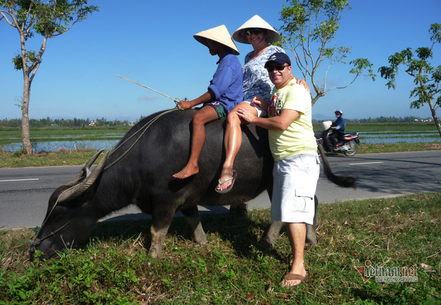 Rủ Tây ra đồng cưỡi trâu, dầm bùn phơi nắng... dân Hội An thu tiền đô - Hình 5 Ru Tay ra dong cuoi trau, dam bun phoi nang... dan Hoi An thu tien do-Hinh-5