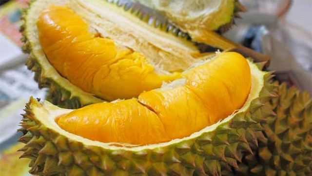 Tuyệt chiêu của người nội trợ thông thái giúp chọn sầu riêng ngon hết nấc Tuyet chieu cua nguoi noi tro thong thai giup chon sau rieng ngon het nac