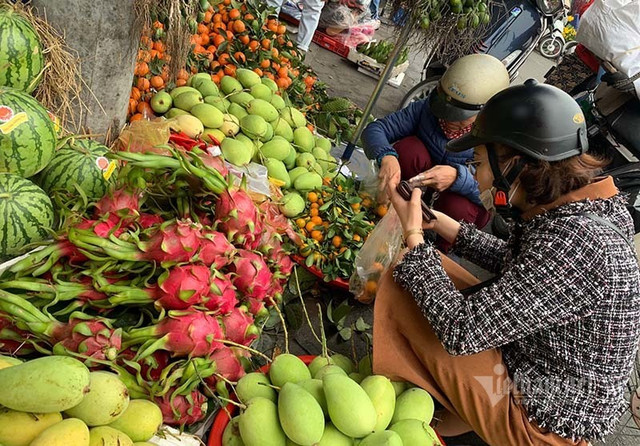 Siêu thực phẩm 650 nghìn/kg ở châu Âu, Việt Nam có 1,4 triệu tấn chỉ 3 nghìn/kg - Hình 3 Sieu thuc pham 650 nghin/kg o chau Au, Viet Nam co 1,4 trieu tan chi 3 nghin/kg-Hinh-3