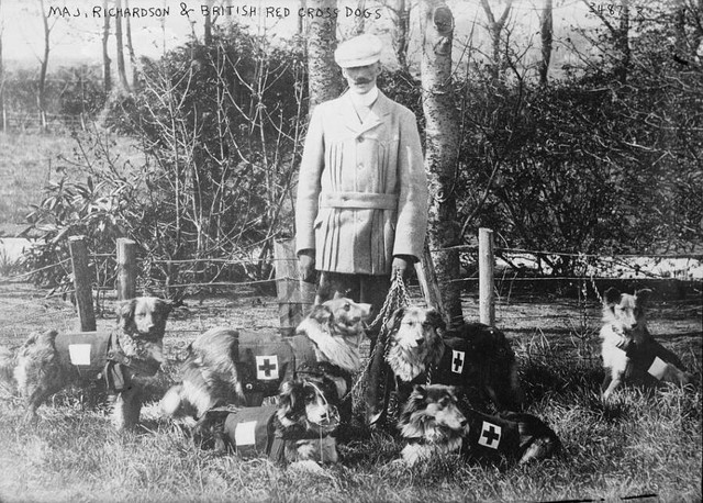Mercy dog - Những người hùng thầm lặng trong Thế chiến thứ nhất - Hình 2 Mercy dog - Nhung nguoi hung tham lang trong The chien thu nhat-Hinh-2