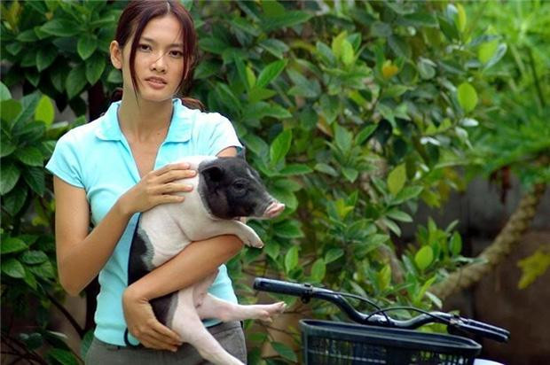 Anh Thư bế heo làm giám khảo gợi nhớ Dược Sĩ Tiến mang lợn đi bar - Hình 3 Anh Thu be heo lam giam khao goi nho Duoc Si Tien mang lon di bar-Hinh-3