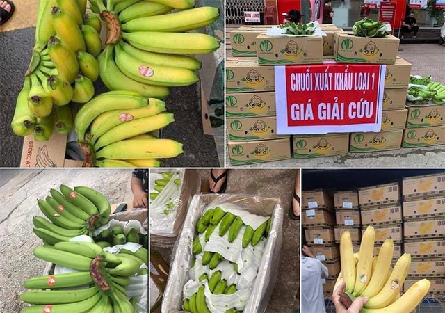 Chuối 5.000 đồng, thanh long 4.000 đồng/kg chất đống đầy vỉa hè - Hình 2 Chuoi 5.000 dong, thanh long 4.000 dong/kg chat dong day via he-Hinh-2