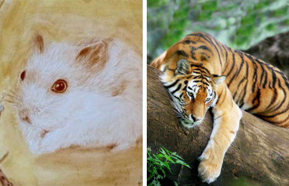 Tuần mới: 2 con giáp hốt tiền thiên hạ, 1 con giáp nghèo thê thảm Tuan moi: 2 con giap hot tien thien ha, 1 con giap ngheo the tham