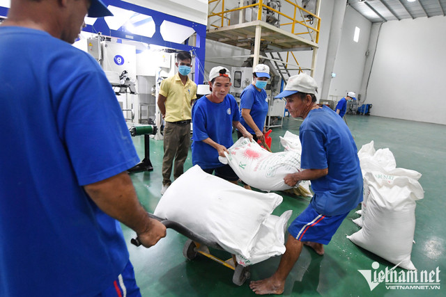 Bộ trưởng Đào Ngọc Dung nêu 5 giải pháp để hạn chế rút bảo hiểm xã hội 1 lần Bo truong Dao Ngoc Dung neu 5 giai phap de han che rut bao hiem xa hoi 1 lan