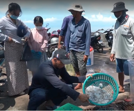 Giá trị dinh dưỡng tuyệt vời của bạch tuộc và sự thật ăn bạch tuộc Gia tri dinh duong tuyet voi cua bach tuoc va su that an bach tuoc